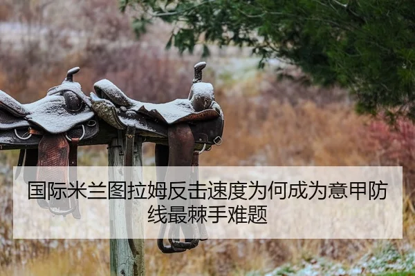 国际米兰图拉姆反击速度为何成为意甲防线最棘手难题
